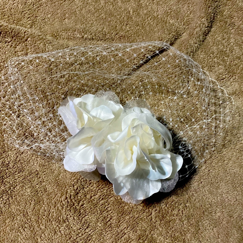 David’s Bridal Bird cage for your wedding day.